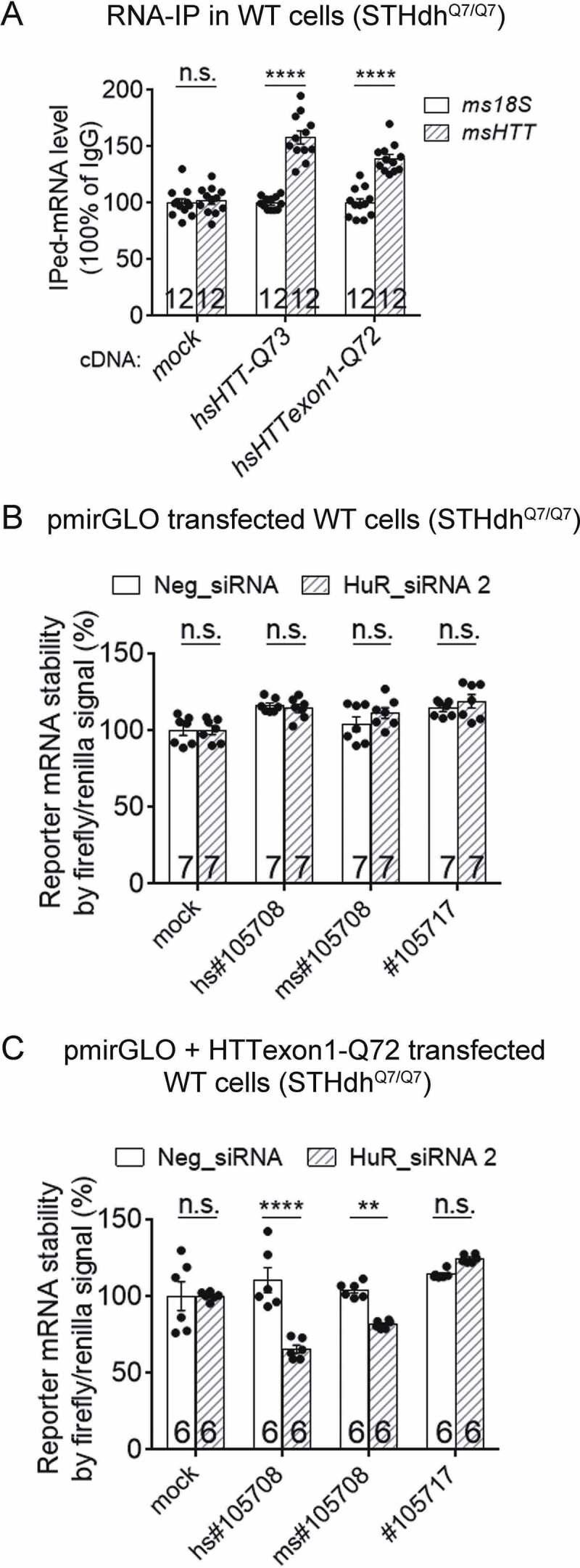 https://cdn.ncbi.nlm.nih.gov/pmc/blobs/a124/7237150/a76f96edbcb3/krnb-17-04-1712894-g006.jpg