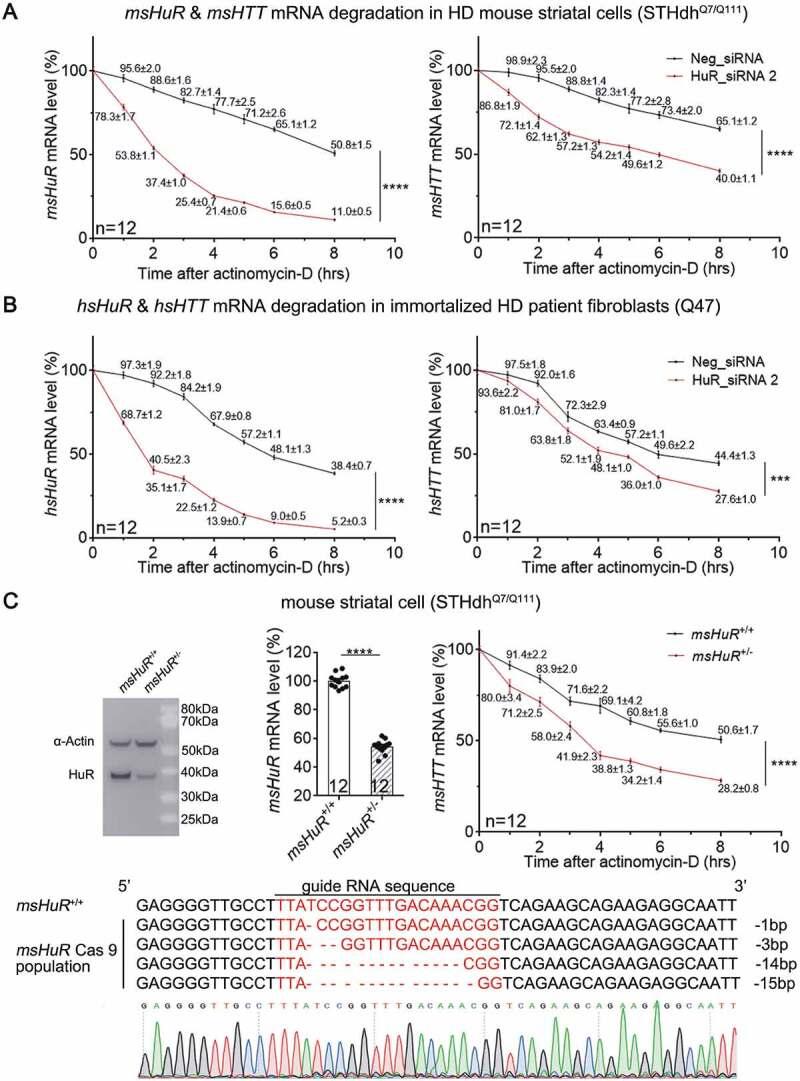 https://cdn.ncbi.nlm.nih.gov/pmc/blobs/a124/7237150/f5afe34e9158/krnb-17-04-1712894-g003.jpg