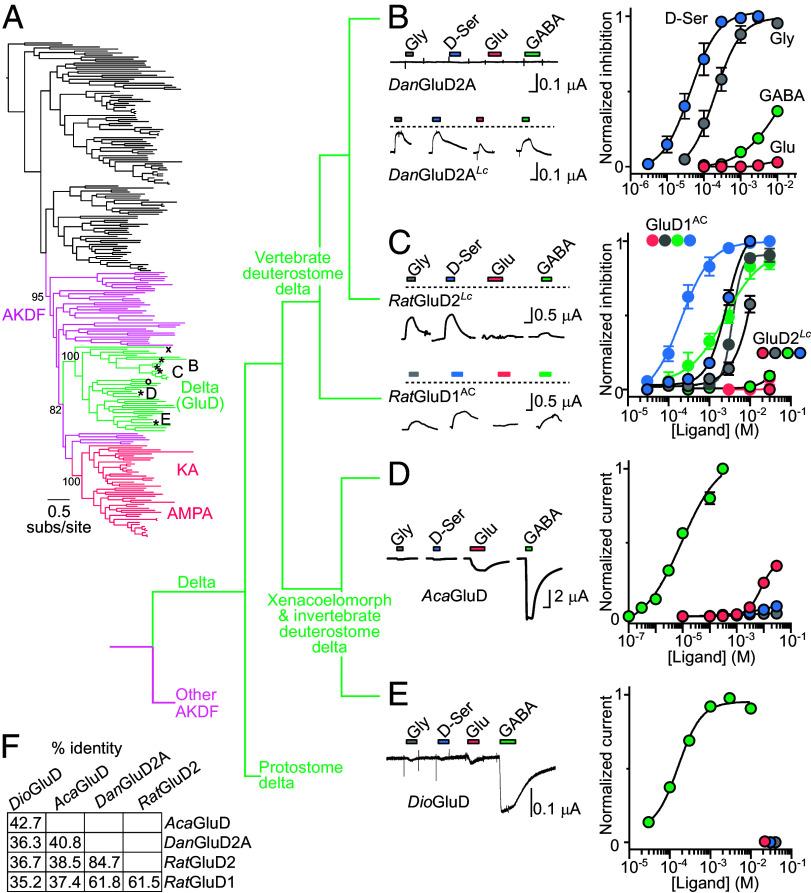 https://cdn.ncbi.nlm.nih.gov/pmc/blobs/a125/10861852/a06018a351e2/pnas.2313853121fig01.jpg