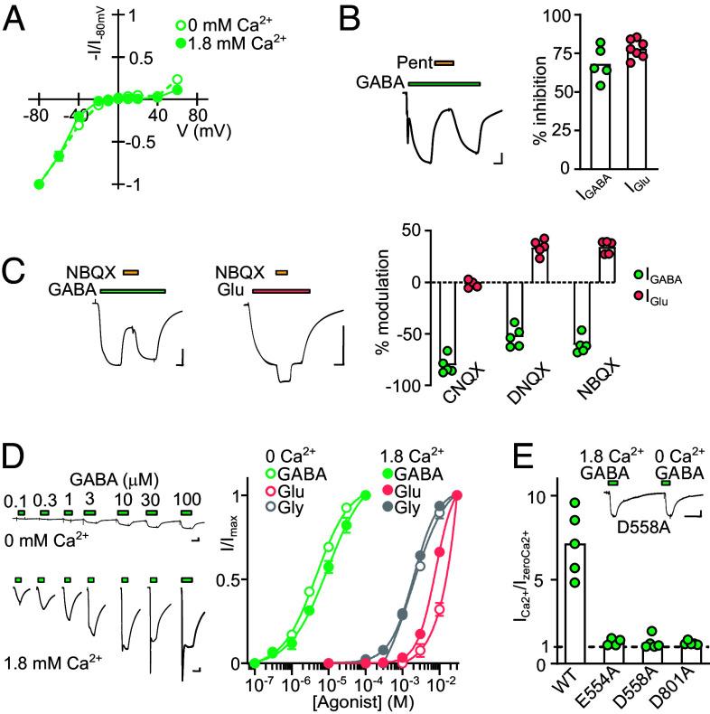https://cdn.ncbi.nlm.nih.gov/pmc/blobs/a125/10861852/bda16156d6c6/pnas.2313853121fig03.jpg