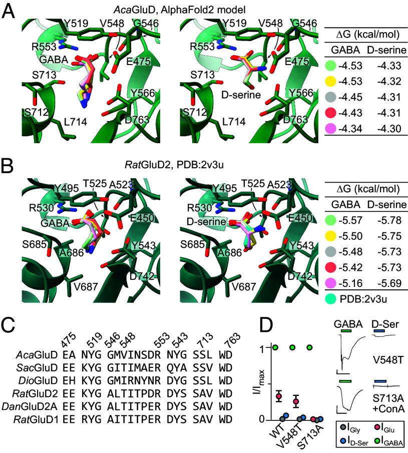 https://cdn.ncbi.nlm.nih.gov/pmc/blobs/a125/10861852/e56145648c7f/pnas.2313853121fig02.jpg