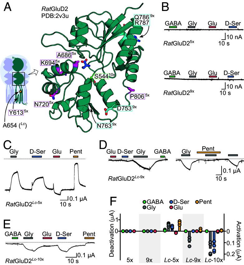 https://cdn.ncbi.nlm.nih.gov/pmc/blobs/a125/10861852/f6ecb39af822/pnas.2313853121fig06.jpg