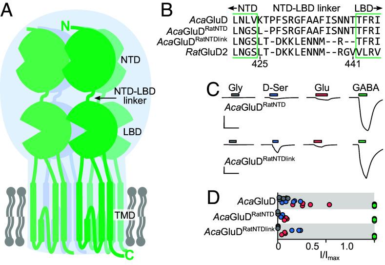 https://cdn.ncbi.nlm.nih.gov/pmc/blobs/a125/10861852/fa77ba618ece/pnas.2313853121fig04.jpg