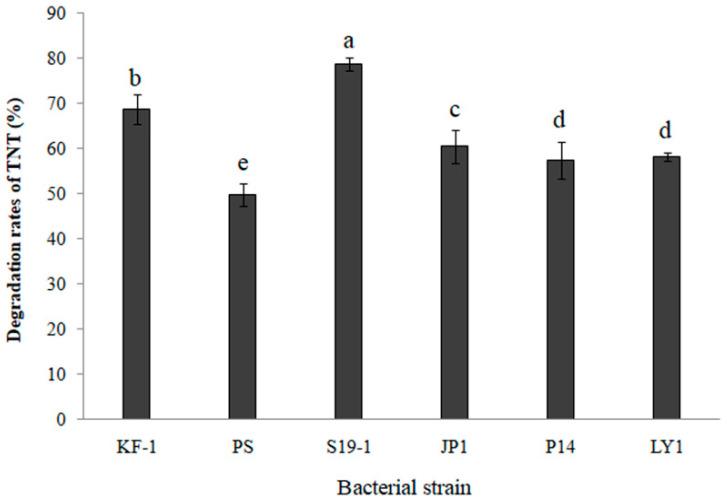 https://cdn.ncbi.nlm.nih.gov/pmc/blobs/a125/8540567/9fec987ee522/toxics-09-00231-g001.jpg