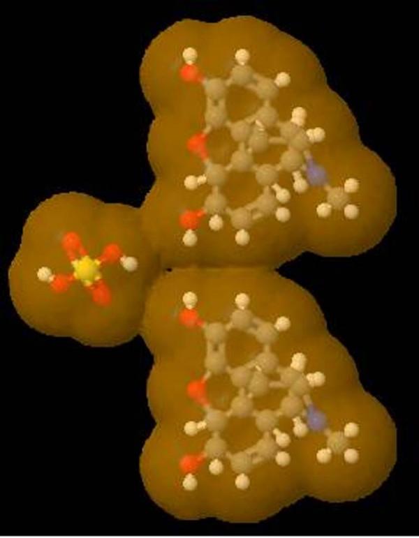 https://cdn.ncbi.nlm.nih.gov/pmc/blobs/a128/2844369/5e4b1087abbe/1471-2210-10-4-3.jpg