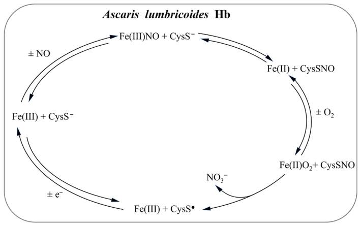 https://cdn.ncbi.nlm.nih.gov/pmc/blobs/a128/9686644/446dc41f7da8/antioxidants-11-02176-g005.jpg