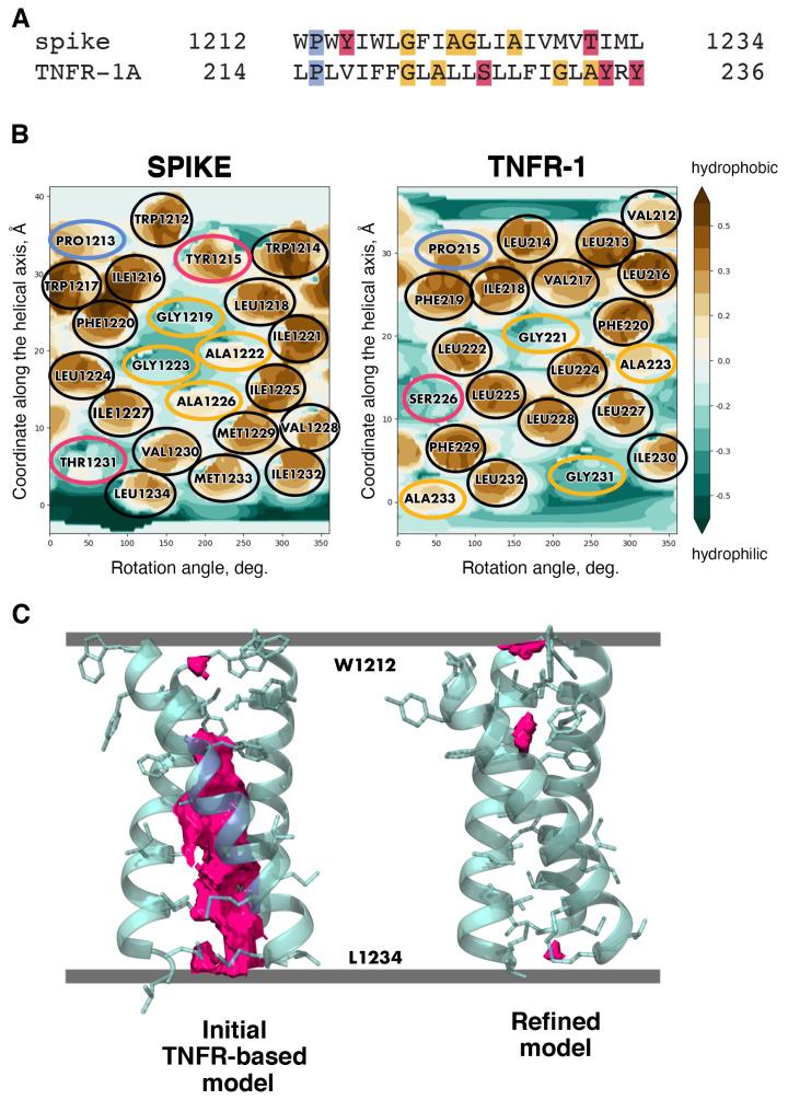 https://cdn.ncbi.nlm.nih.gov/pmc/blobs/a12c/10671605/c27f3aadff18/ijms-24-16421-g003.jpg