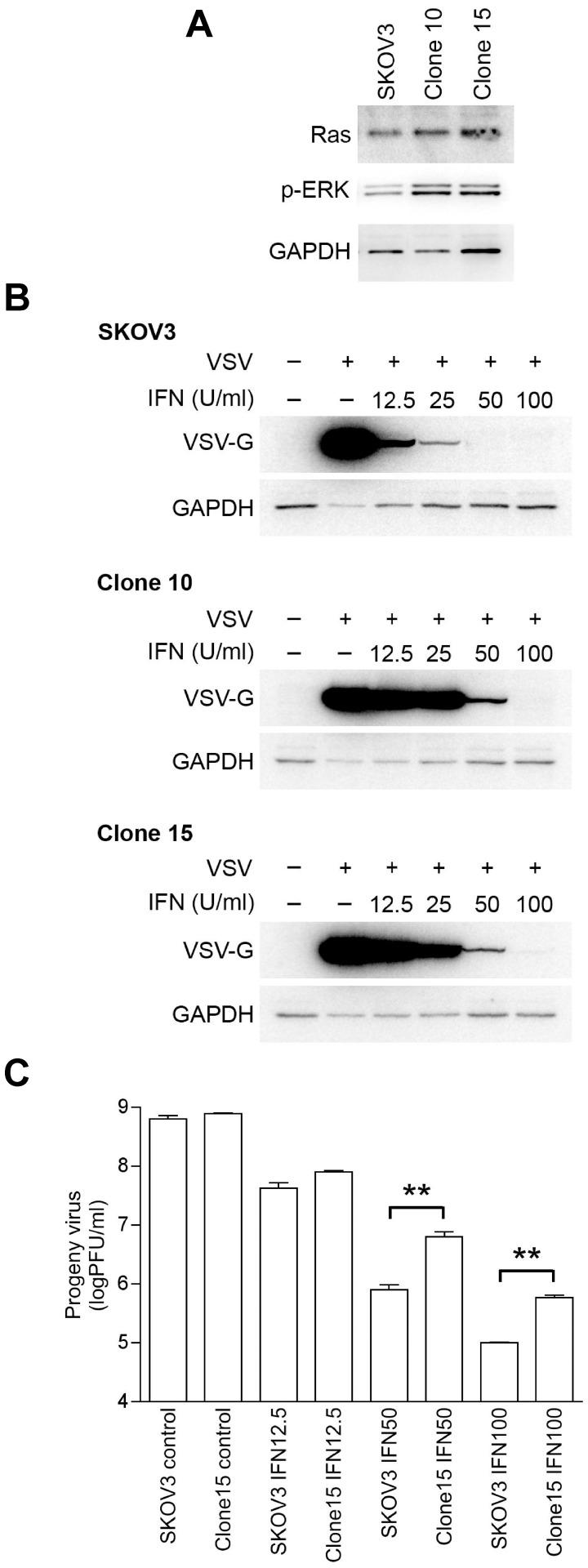 https://cdn.ncbi.nlm.nih.gov/pmc/blobs/a12d/3436881/2123568a5ab7/pone.0044267.g006.jpg