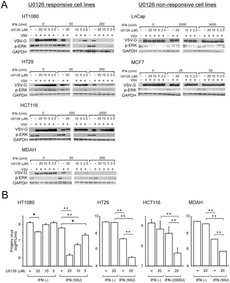 https://cdn.ncbi.nlm.nih.gov/pmc/blobs/a12d/3436881/5ae1ea1b6a10/pone.0044267.g002.jpg