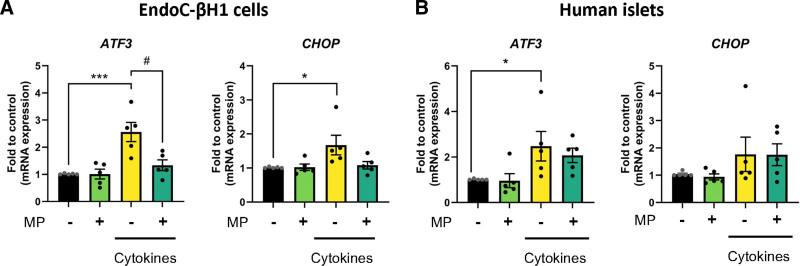 https://cdn.ncbi.nlm.nih.gov/pmc/blobs/a12e/12073852/02246396e896/txd-11-e1770-g005.jpg