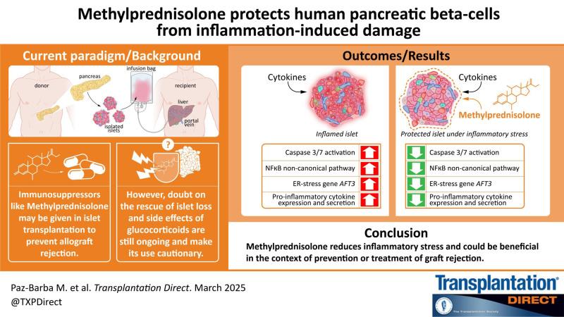 https://cdn.ncbi.nlm.nih.gov/pmc/blobs/a12e/12073852/43db2f27d5be/txd-11-e1770-g001.jpg