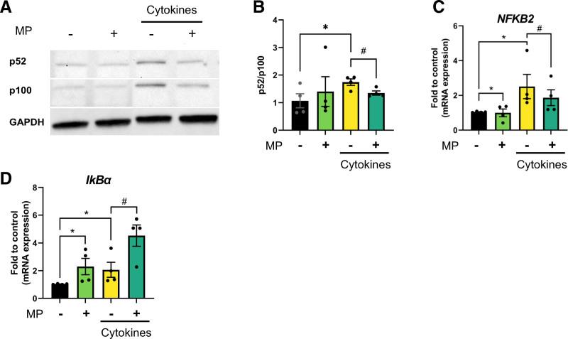 https://cdn.ncbi.nlm.nih.gov/pmc/blobs/a12e/12073852/60c8279bb7b1/txd-11-e1770-g003.jpg
