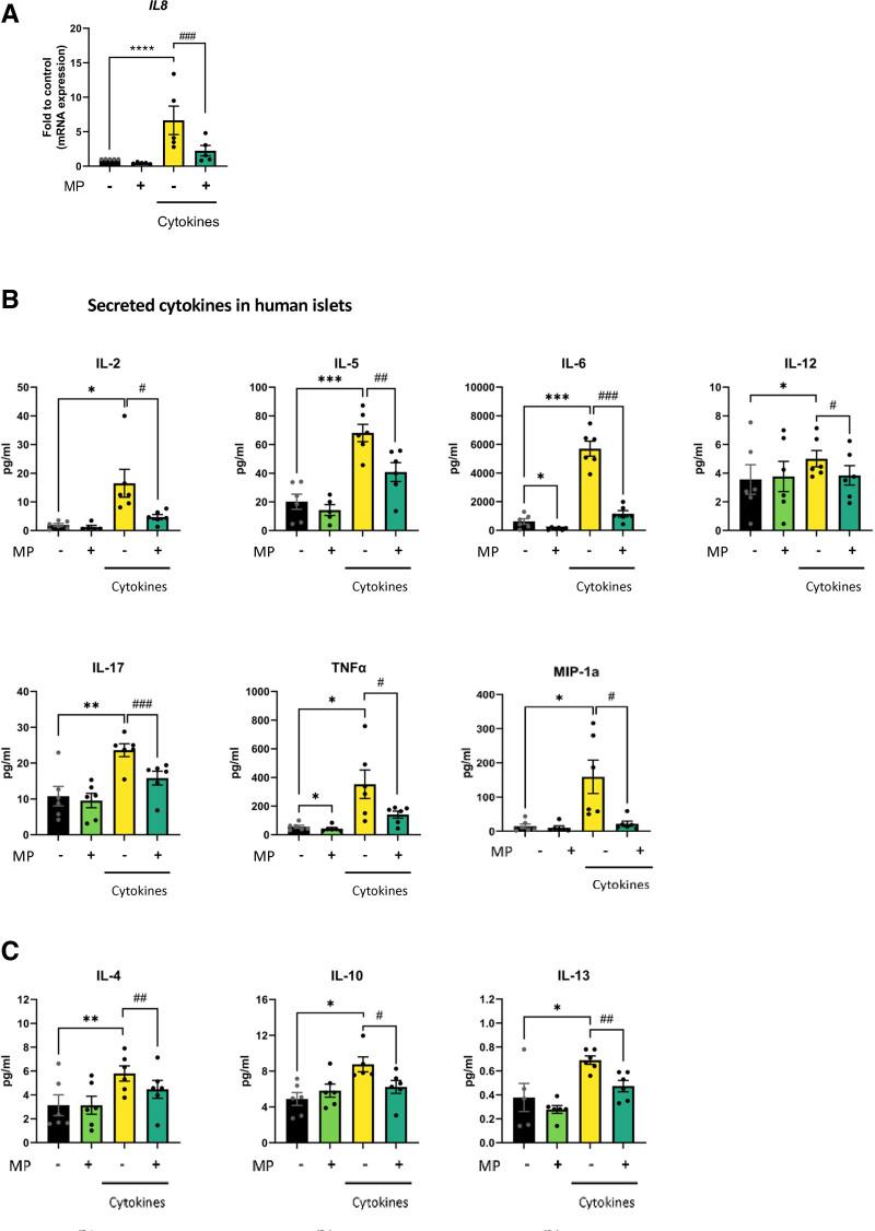 https://cdn.ncbi.nlm.nih.gov/pmc/blobs/a12e/12073852/b44e3a94c8bd/txd-11-e1770-g004.jpg