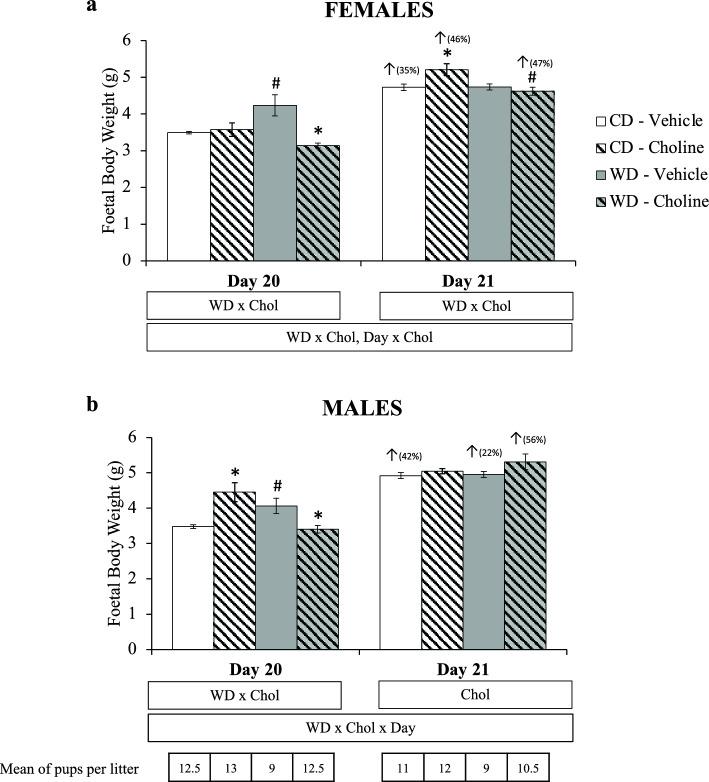 https://cdn.ncbi.nlm.nih.gov/pmc/blobs/a132/11102553/7932fc5ba775/41598_2024_62229_Fig1_HTML.jpg