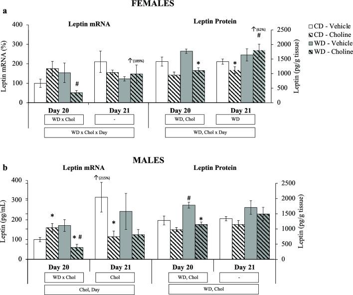 https://cdn.ncbi.nlm.nih.gov/pmc/blobs/a132/11102553/7c2d83d980ec/41598_2024_62229_Fig3_HTML.jpg