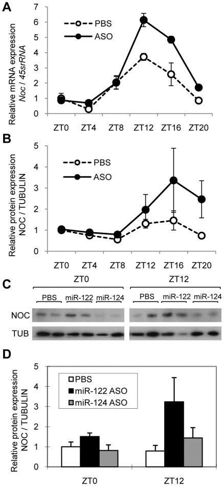 https://cdn.ncbi.nlm.nih.gov/pmc/blobs/a133/2889834/3adb018ec337/pone.0011264.g006.jpg