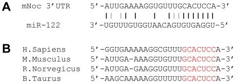 https://cdn.ncbi.nlm.nih.gov/pmc/blobs/a133/2889834/6a6d204085e8/pone.0011264.g001.jpg