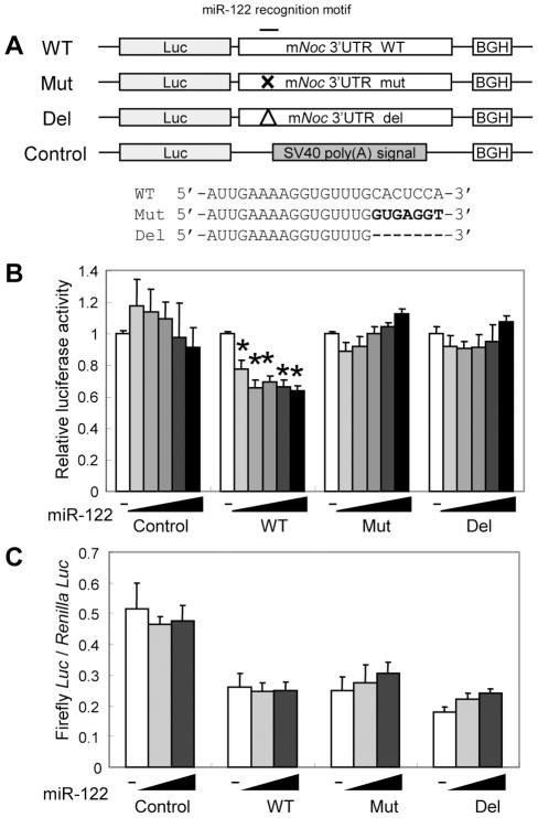 https://cdn.ncbi.nlm.nih.gov/pmc/blobs/a133/2889834/ef11cc0f12d8/pone.0011264.g002.jpg