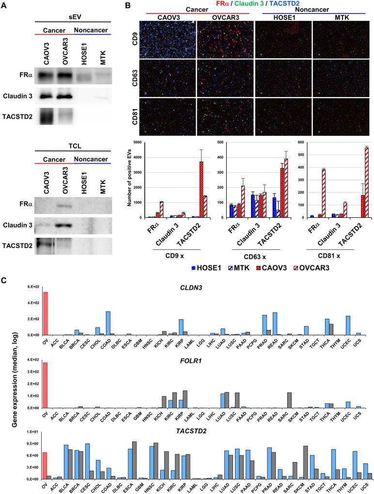 https://cdn.ncbi.nlm.nih.gov/pmc/blobs/a136/10328412/e08a963550c8/sciadv.ade6958-f4.jpg