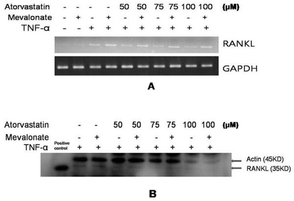 https://cdn.ncbi.nlm.nih.gov/pmc/blobs/a138/3580583/3edc1cb930ea/ar4018-2.jpg