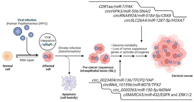 https://cdn.ncbi.nlm.nih.gov/pmc/blobs/a13a/10686810/ea672cdc77f3/gr3.jpg