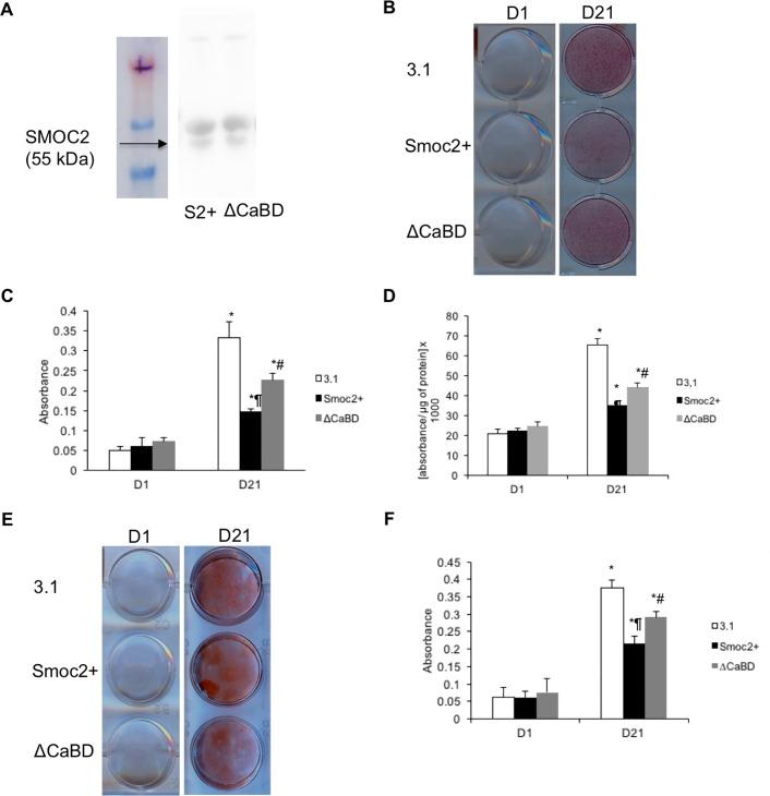 https://cdn.ncbi.nlm.nih.gov/pmc/blobs/a13a/5999237/2a5c8d4b3604/pone.0198104.g005.jpg