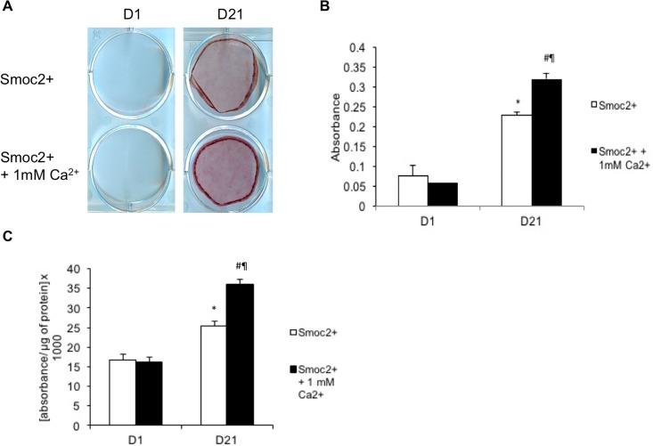 https://cdn.ncbi.nlm.nih.gov/pmc/blobs/a13a/5999237/34c7071310e9/pone.0198104.g004.jpg