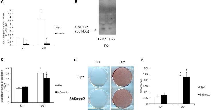 https://cdn.ncbi.nlm.nih.gov/pmc/blobs/a13a/5999237/3671c0e536c3/pone.0198104.g002.jpg