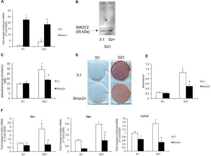 https://cdn.ncbi.nlm.nih.gov/pmc/blobs/a13a/5999237/45025a53a007/pone.0198104.g001.jpg