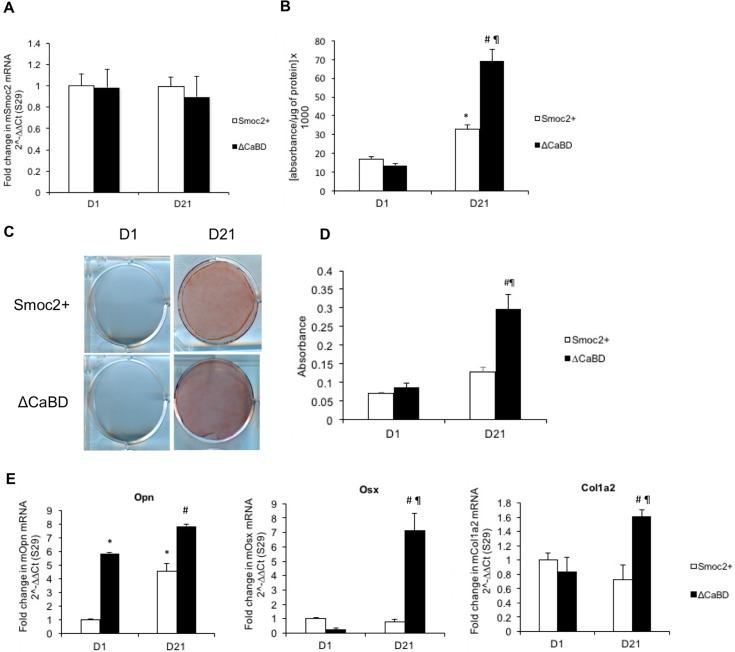 https://cdn.ncbi.nlm.nih.gov/pmc/blobs/a13a/5999237/7eae033bcb99/pone.0198104.g003.jpg