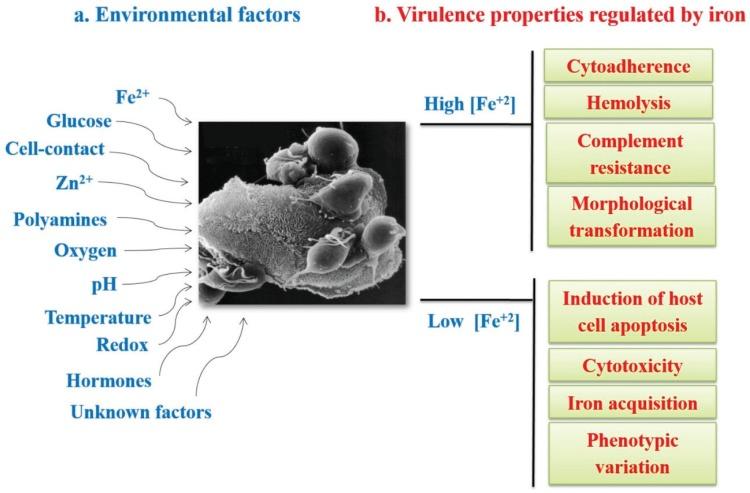 https://cdn.ncbi.nlm.nih.gov/pmc/blobs/a13b/4693282/2a83f37cd443/biomolecules-05-03354-g003.jpg