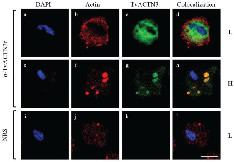 https://cdn.ncbi.nlm.nih.gov/pmc/blobs/a13b/4693282/8e6d48501419/biomolecules-05-03354-g009.jpg