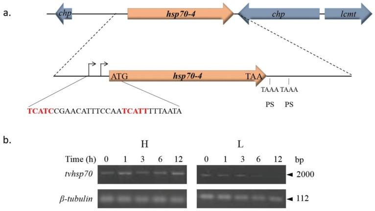 https://cdn.ncbi.nlm.nih.gov/pmc/blobs/a13b/4693282/d34dfde45cd4/biomolecules-05-03354-g008.jpg
