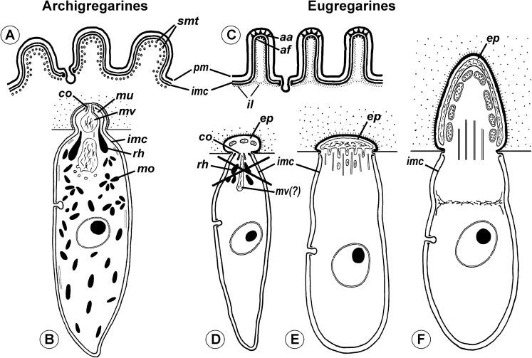 https://cdn.ncbi.nlm.nih.gov/pmc/blobs/a13b/5452951/2acb4e9475cb/peerj-05-3354-g011.jpg