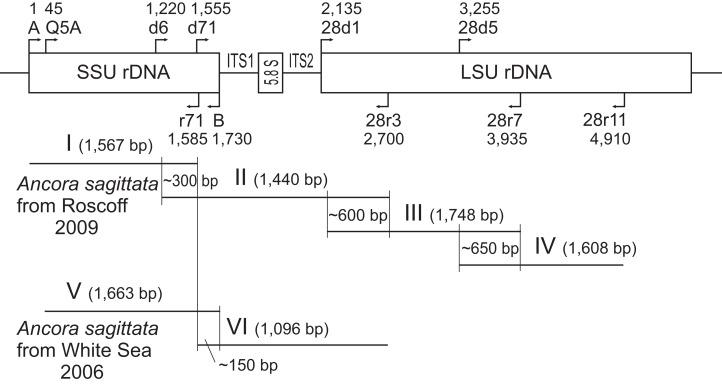 https://cdn.ncbi.nlm.nih.gov/pmc/blobs/a13b/5452951/dfbee378bdcd/peerj-05-3354-g001.jpg