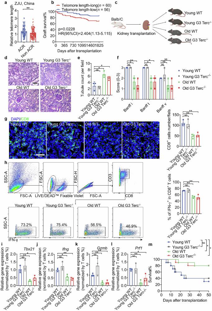 https://cdn.ncbi.nlm.nih.gov/pmc/blobs/a13d/12000408/50ca4604770c/41421_2025_784_Fig1_HTML.jpg