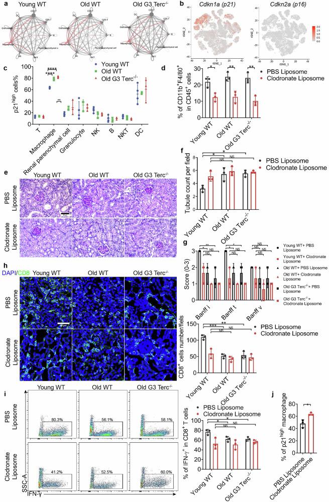 https://cdn.ncbi.nlm.nih.gov/pmc/blobs/a13d/12000408/6bf5623f6803/41421_2025_784_Fig3_HTML.jpg