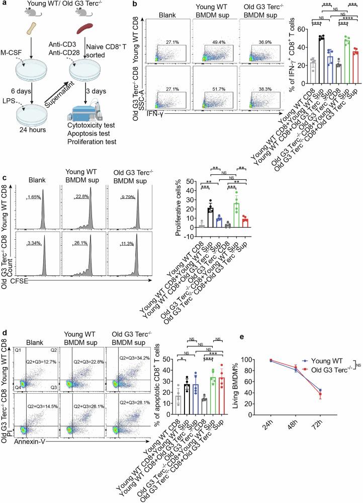 https://cdn.ncbi.nlm.nih.gov/pmc/blobs/a13d/12000408/7546a9b76bc2/41421_2025_784_Fig4_HTML.jpg