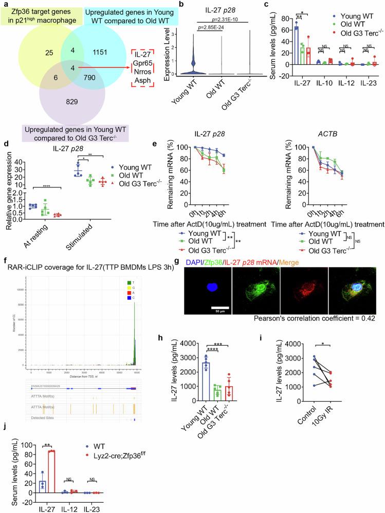 https://cdn.ncbi.nlm.nih.gov/pmc/blobs/a13d/12000408/f4c0befe6203/41421_2025_784_Fig6_HTML.jpg