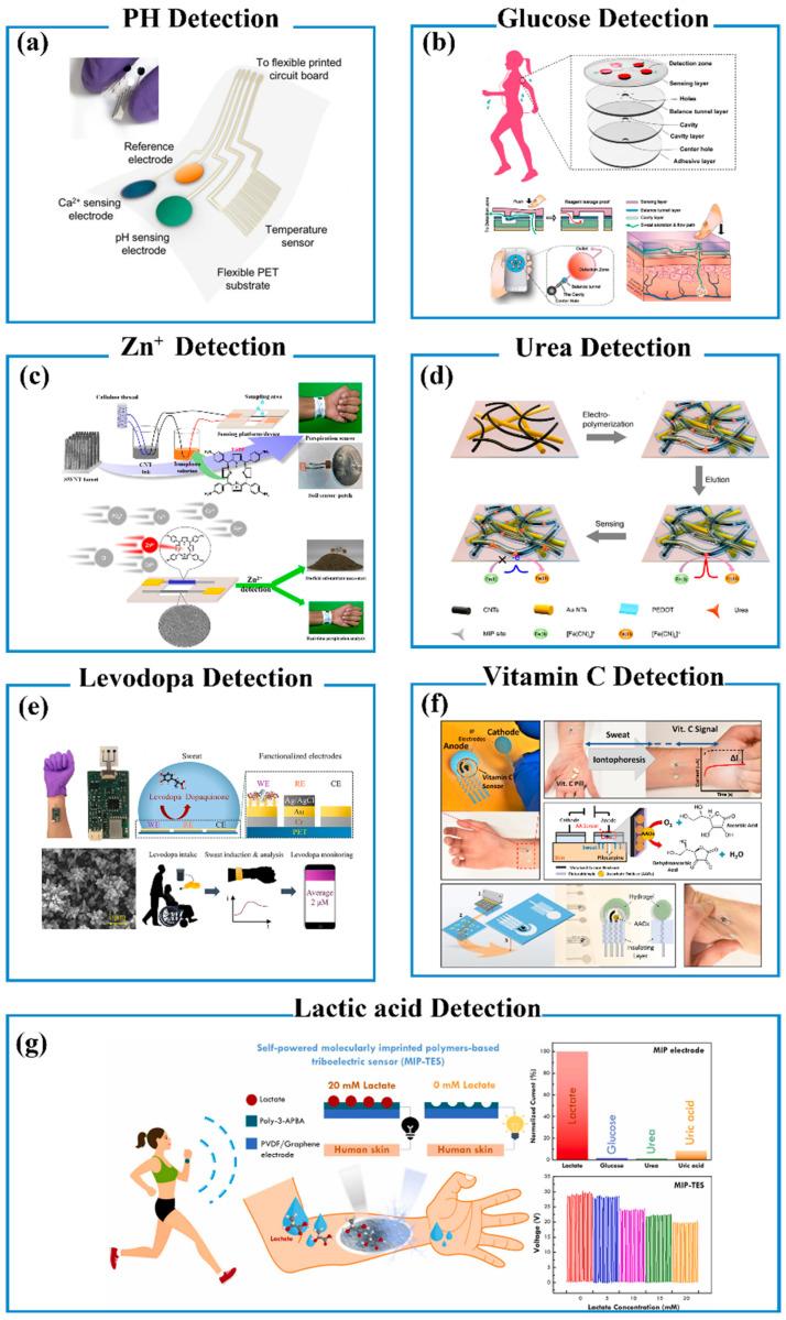 https://cdn.ncbi.nlm.nih.gov/pmc/blobs/a13e/10296135/2ba8760b1efa/biosensors-13-00630-g006.jpg