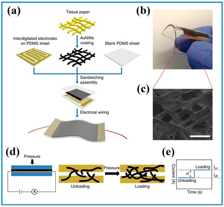 https://cdn.ncbi.nlm.nih.gov/pmc/blobs/a13e/10296135/5a8eb5fc7dec/biosensors-13-00630-g004.jpg