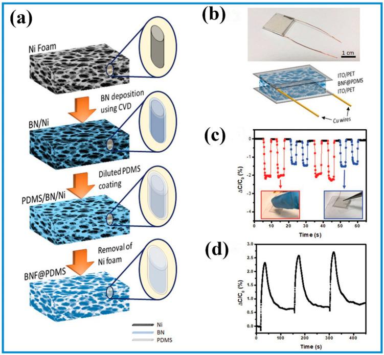 https://cdn.ncbi.nlm.nih.gov/pmc/blobs/a13e/10296135/6562b8f18417/biosensors-13-00630-g005.jpg