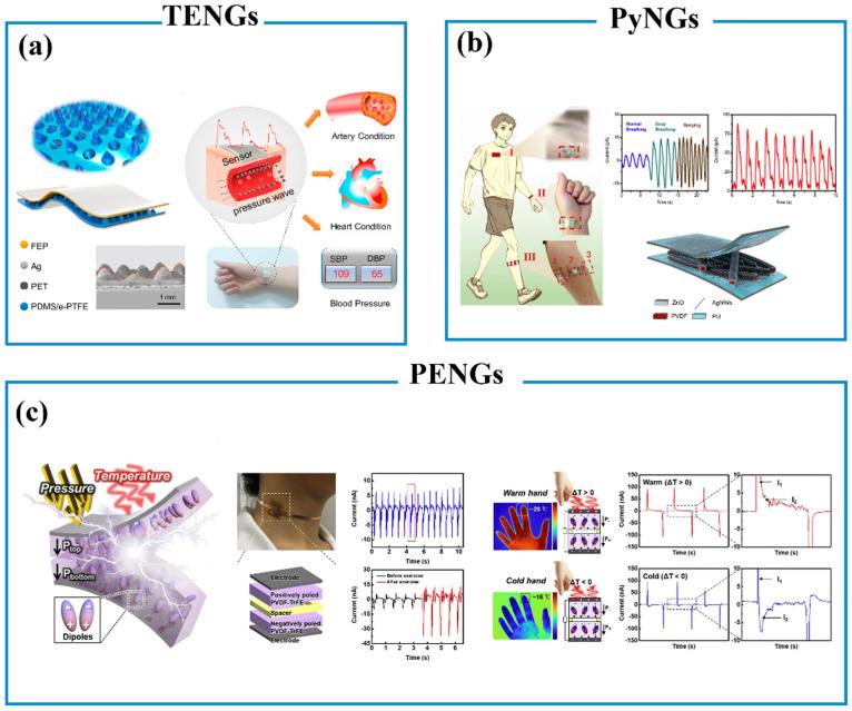 https://cdn.ncbi.nlm.nih.gov/pmc/blobs/a13e/10296135/a4a1de46fff4/biosensors-13-00630-g008.jpg