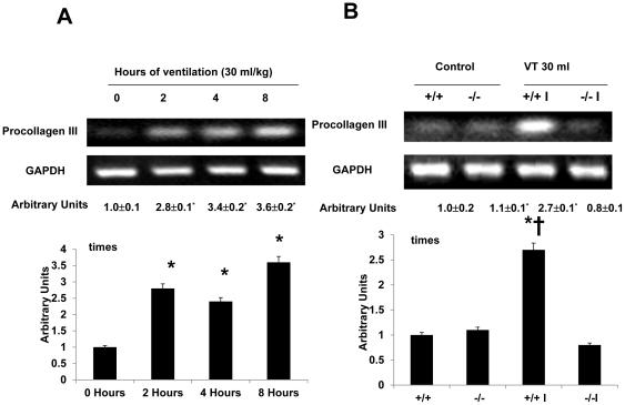 https://cdn.ncbi.nlm.nih.gov/pmc/blobs/a13e/3170381/737df141a422/pone.0024692.g005.jpg