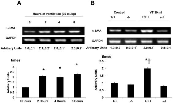 https://cdn.ncbi.nlm.nih.gov/pmc/blobs/a13e/3170381/d9b387ba7202/pone.0024692.g007.jpg