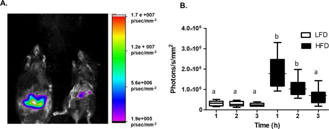 https://cdn.ncbi.nlm.nih.gov/pmc/blobs/a13e/6181265/bcc28dd680ca/pone.0198716.g002.jpg