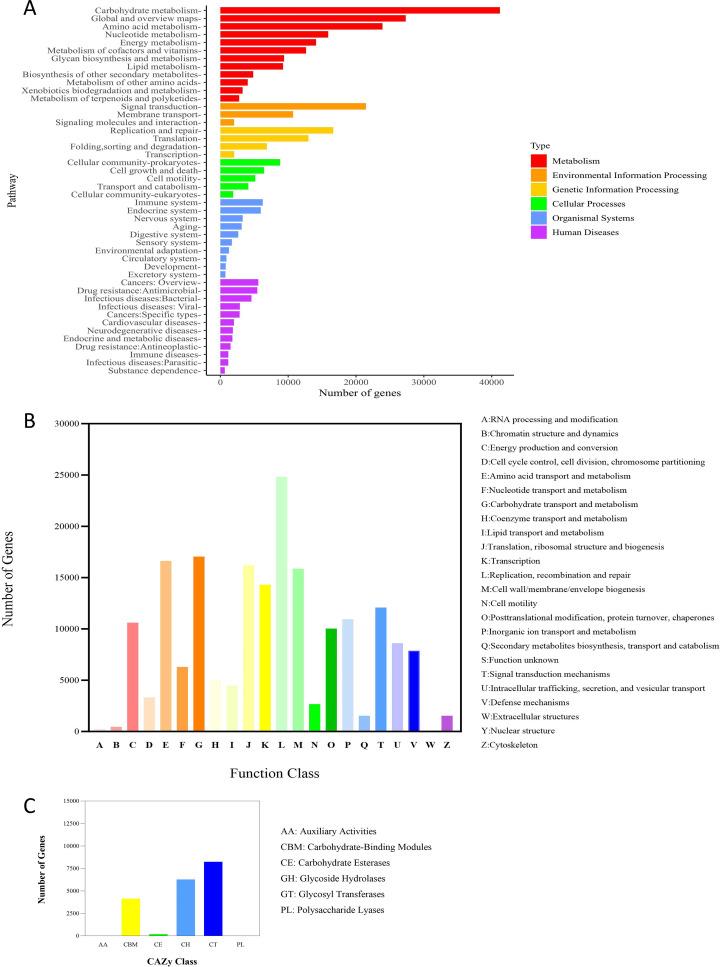 https://cdn.ncbi.nlm.nih.gov/pmc/blobs/a13f/12256529/f25bb3134e91/fcimb-15-1593581-g003.jpg