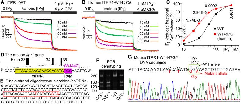 https://cdn.ncbi.nlm.nih.gov/pmc/blobs/a141/11932448/bd5546067fec/cir-151-847-g002.jpg