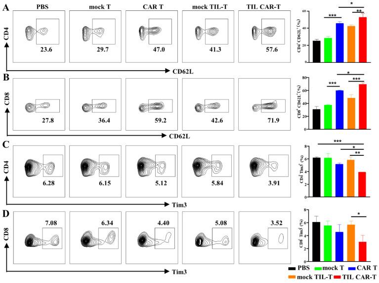 https://cdn.ncbi.nlm.nih.gov/pmc/blobs/a142/10705672/858c102b49fd/cancers-15-05567-g006.jpg