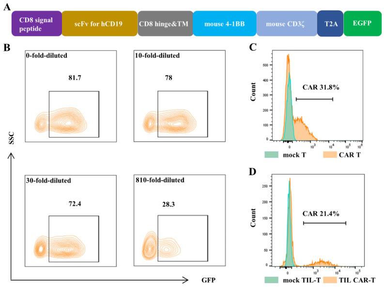 https://cdn.ncbi.nlm.nih.gov/pmc/blobs/a142/10705672/9e96d950126d/cancers-15-05567-g001.jpg